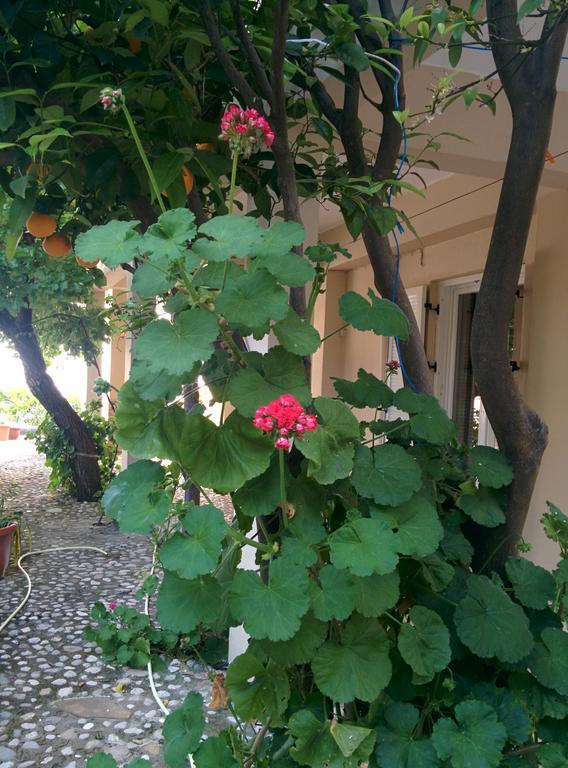 Varagoulis Giannis & Lenas Apartments Paramonas エクステリア 写真